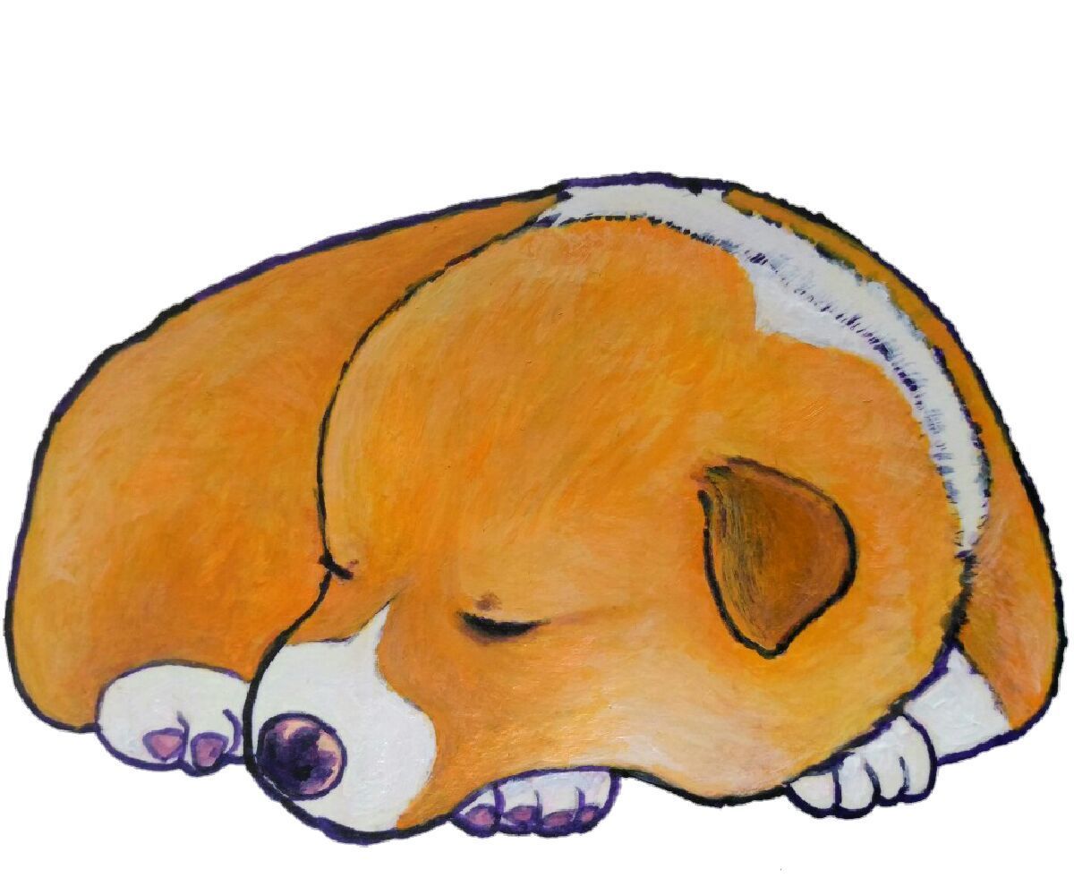 コーギーイラスト 丸まって眠る子犬 絵描き 青のアートブログ
